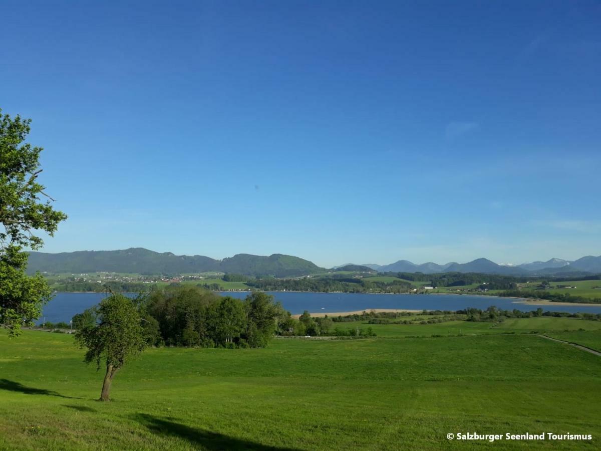 Pp-Camping Wallersee Seekirchen Markt Exterior foto