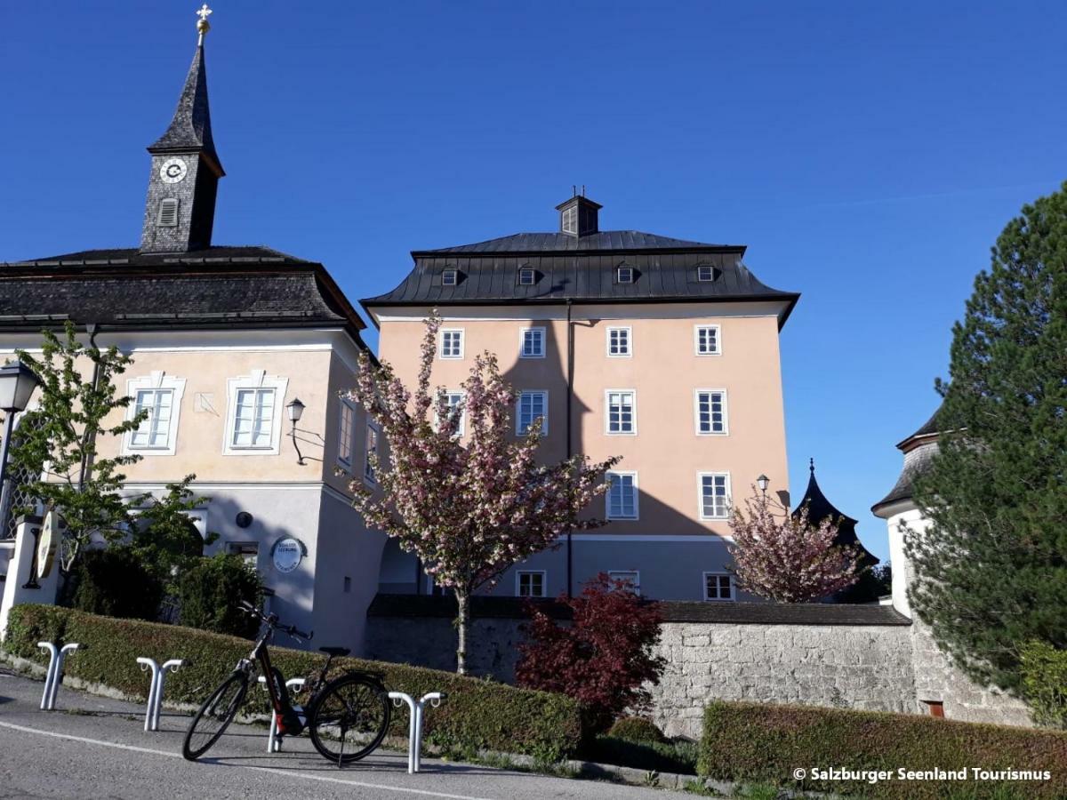Pp-Camping Wallersee Seekirchen Markt Exterior foto