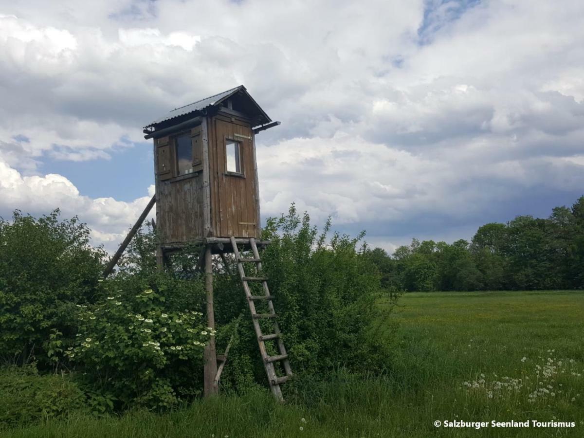 Pp-Camping Wallersee Seekirchen Markt Exterior foto